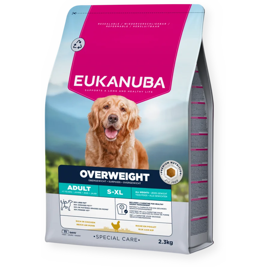Overweight