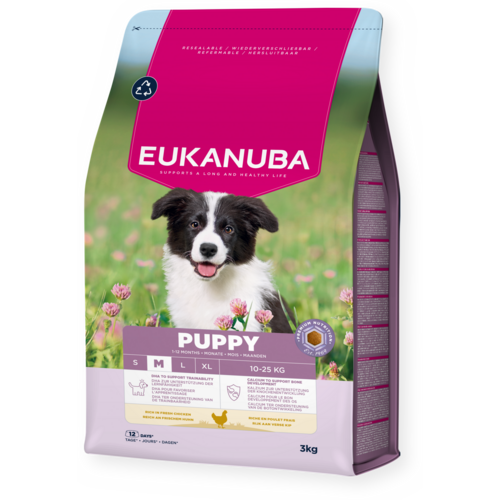 Cachorro Raza mediana Pollo fresco