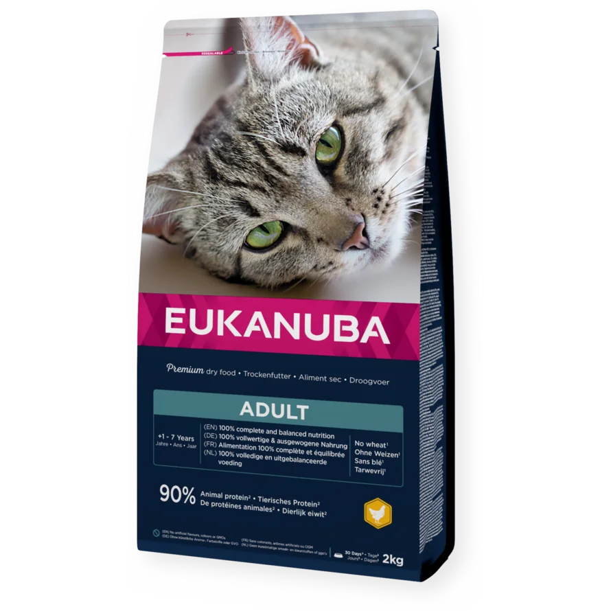 Top Condition 1 plus