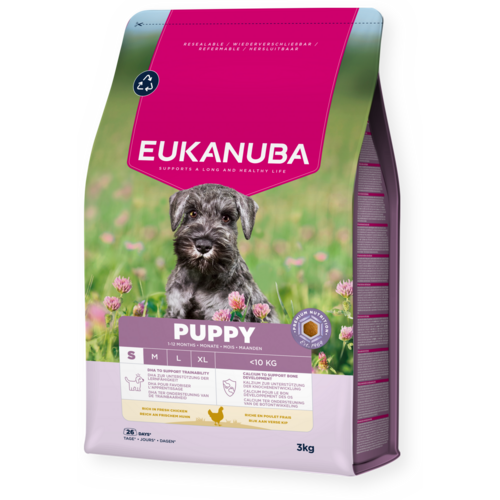 Cachorro Raza pequeña Pollo fresco