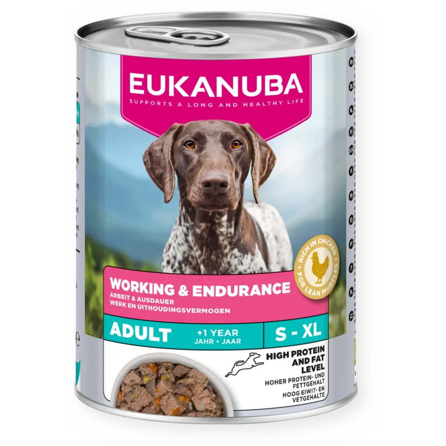 Working and Endurance