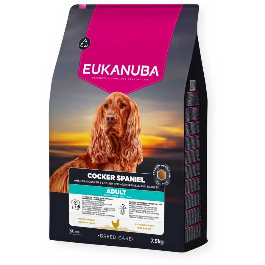 Cocker Spaniel