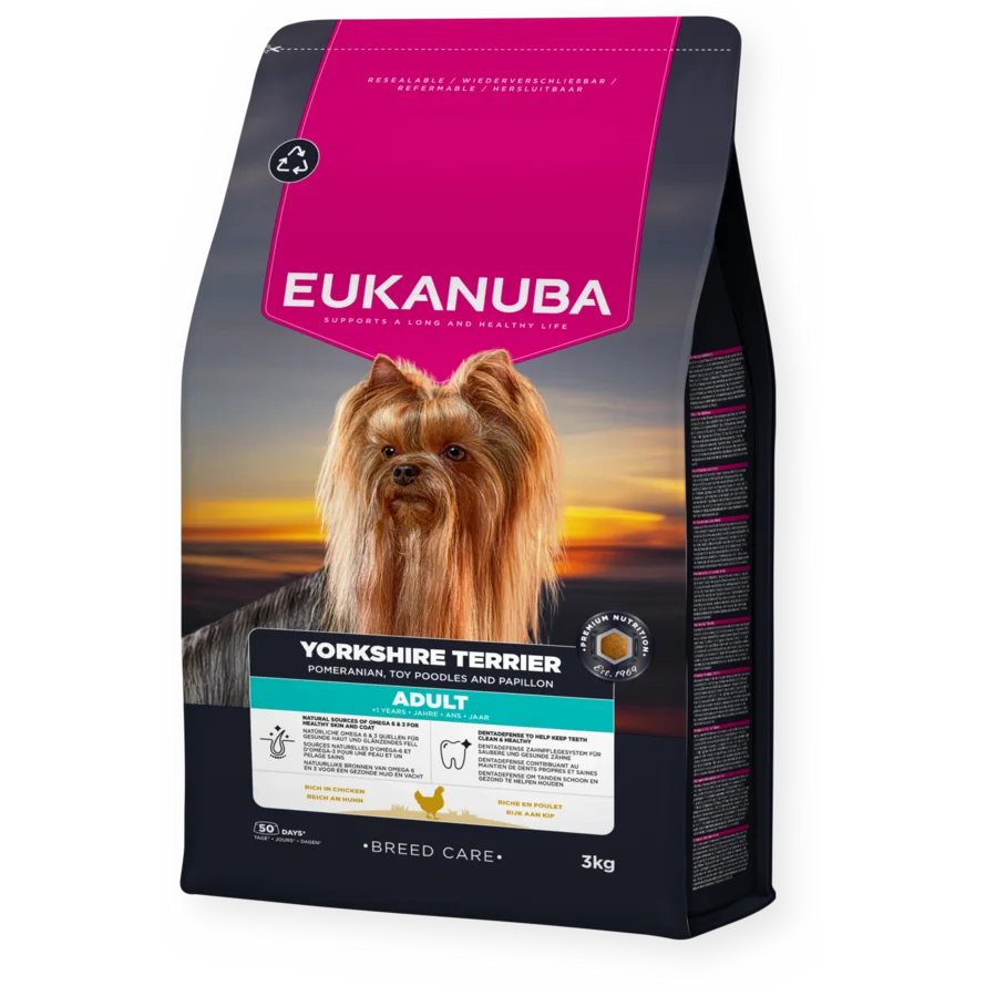 Yorkshire Terrier